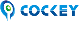 点点vip升级